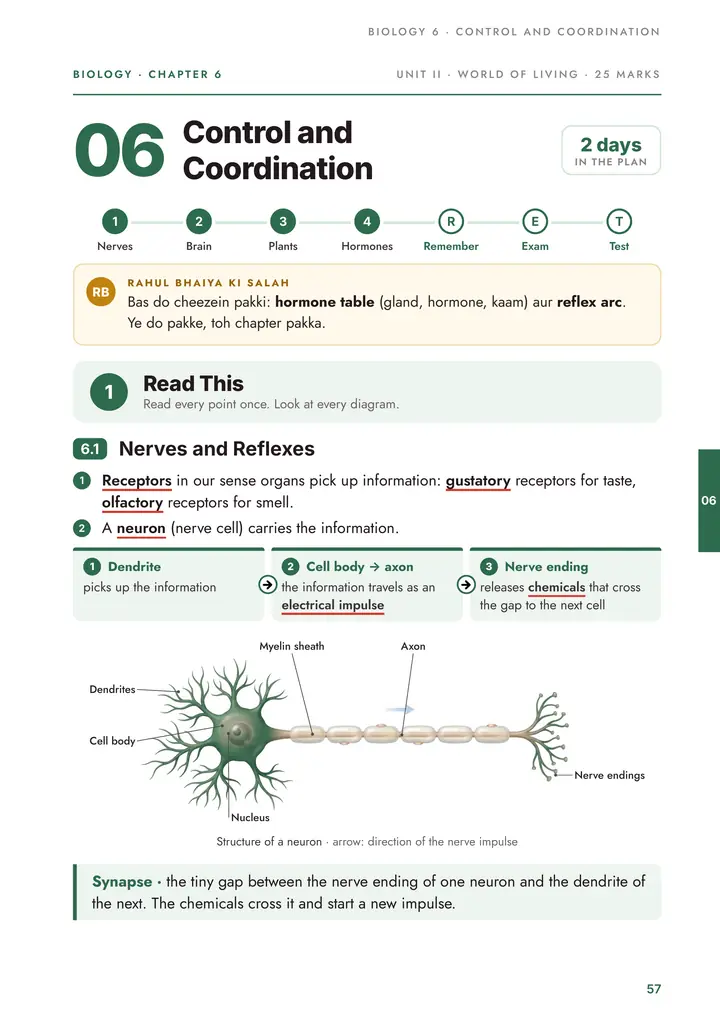 Biology: Control and Coordination