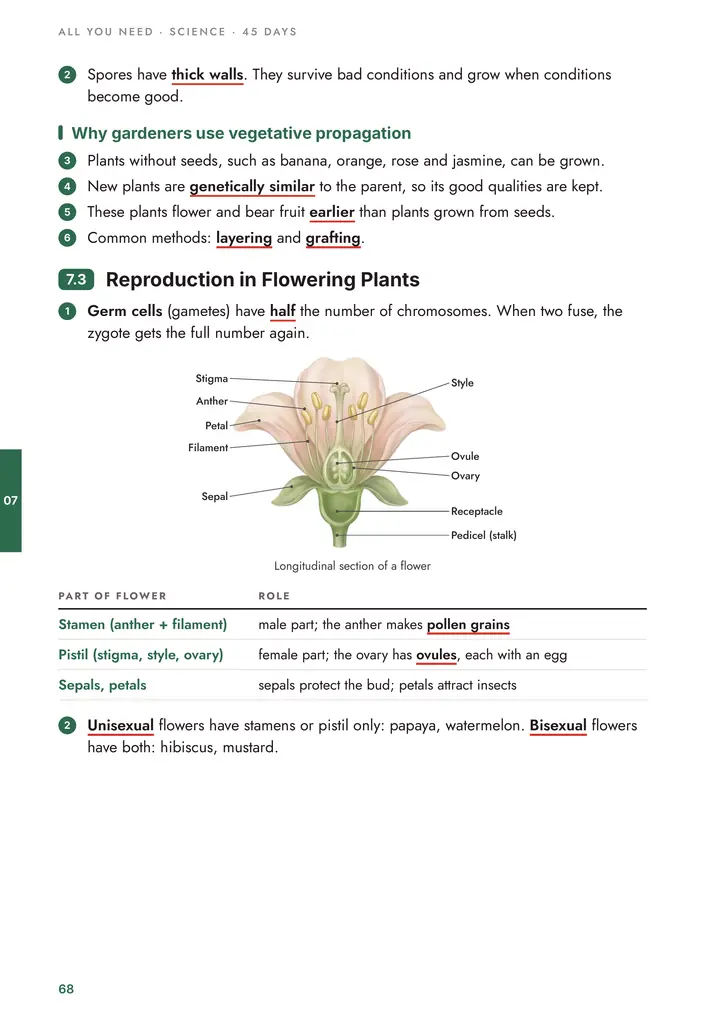 Biology: Reproduction in flowering plants