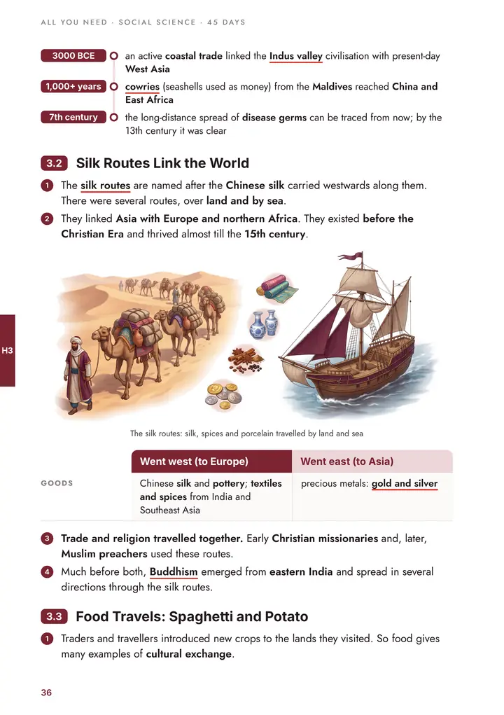 History: Silk routes link the world