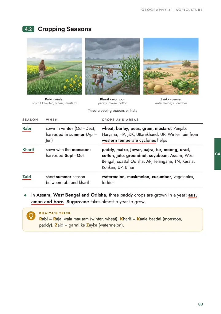 Geography: Cropping seasons