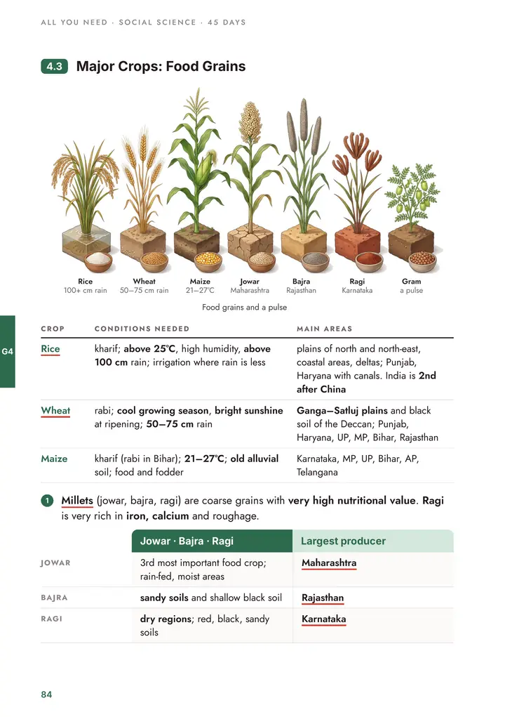 Geography: Major food crops